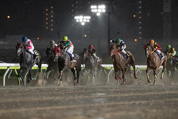 大井競馬場とは スポーツの人気 最新記事を集めました はてな 大井競馬場とは スポーツの人気 最新記事を集めました はてな