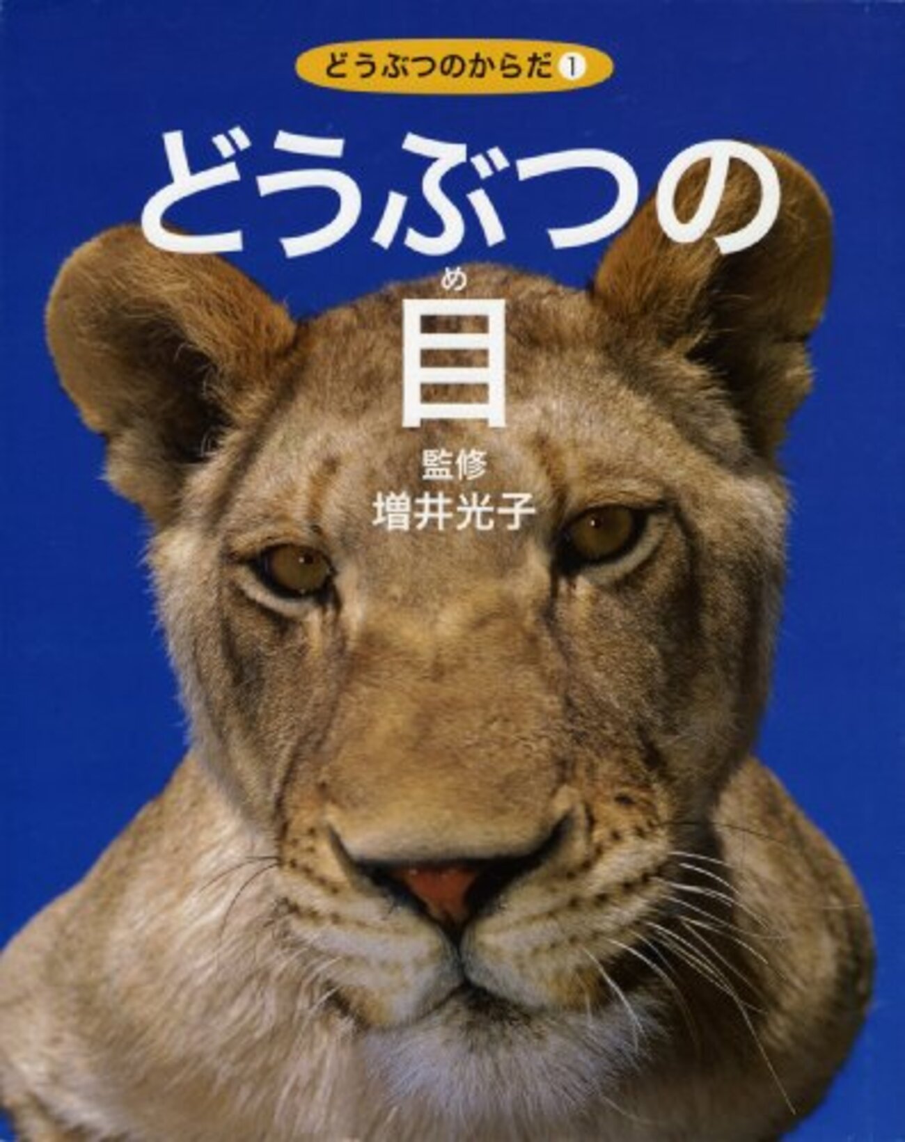 わたしの動物記 増井光子　ポプラ社 わたしの動物記｜ポプラ・ブックス｜YA｜本を探す｜ポプラ社
