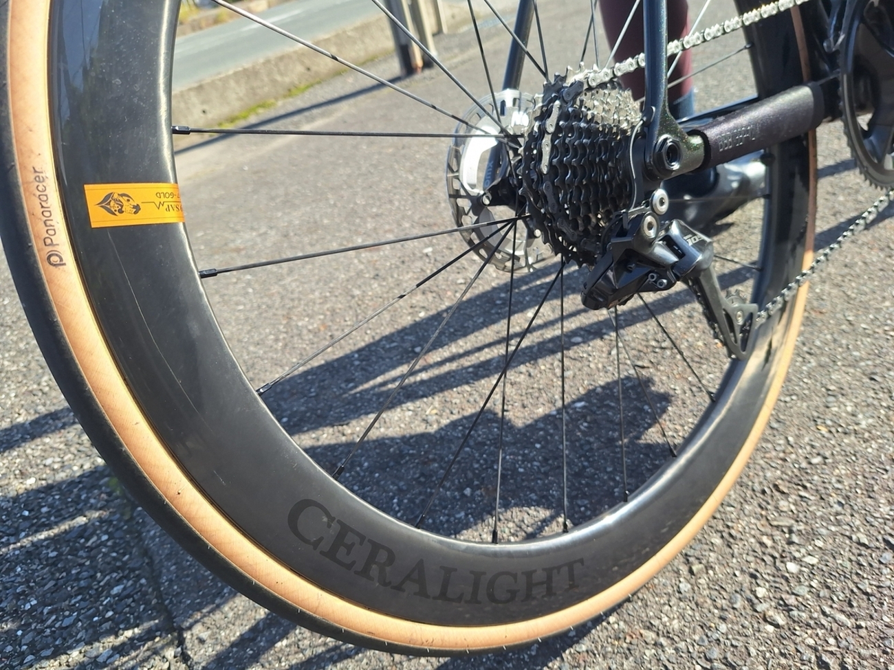 新型Ceralight GOLD LABEL H50 試乗キャンペーン開催！ - 自転車処どてるし