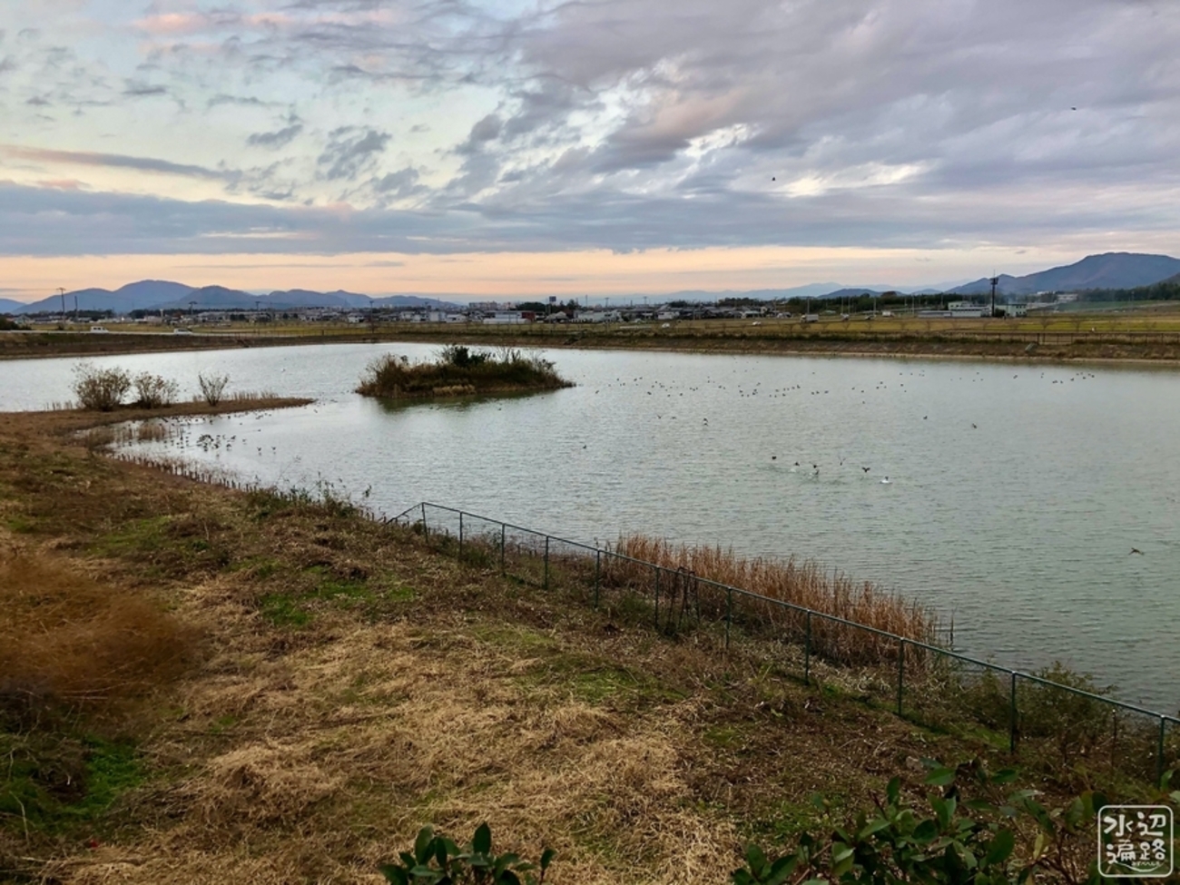 水道秋聖　「千野の池」 千代田区・秋葉原 御茶ノ水界隈 相生坂 鉄道夜景 – 東京路上寸景