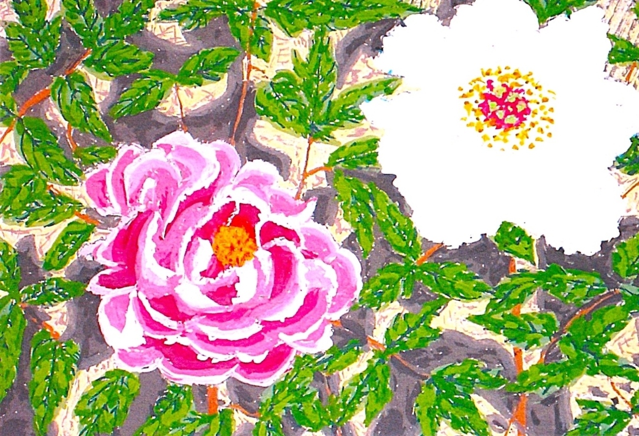 ピンクとホワイト・ツーショットの須賀川牡丹 - 小池至夫水彩画(通称