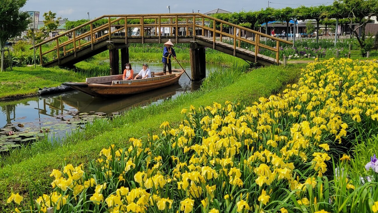 backend=imagemagick;version=1;