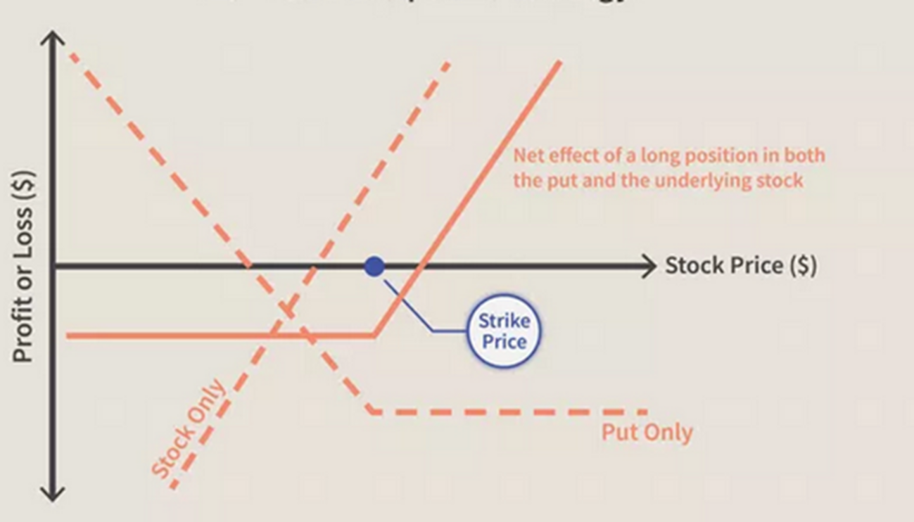 QRMI】【XRMI】毎月高分配の利回り１０％超え！？インカムを追求するETF - たぱぞうの米国株投資