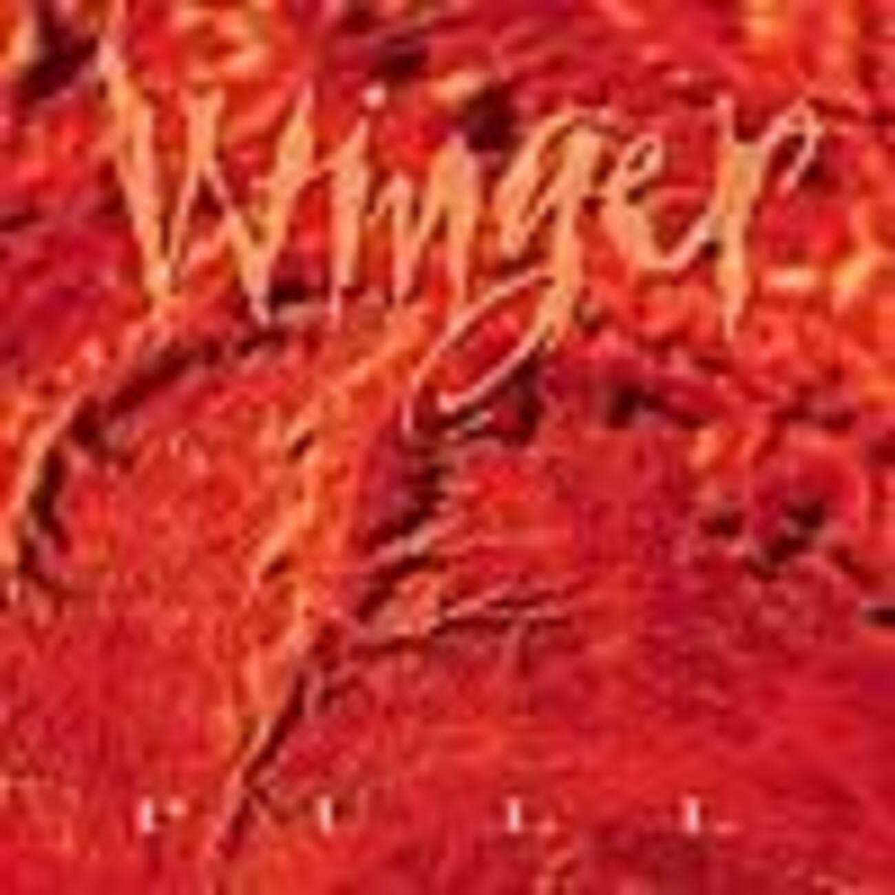 ウインガー WINGER／プル ウィンガーバンド直筆サイン入り写真4枚 
