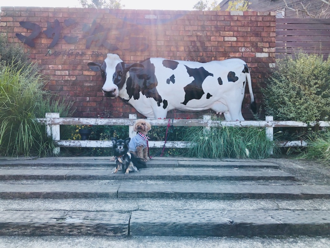 犬と鶏の置物 牧場風景 犬と鶏の置物 牧場風景