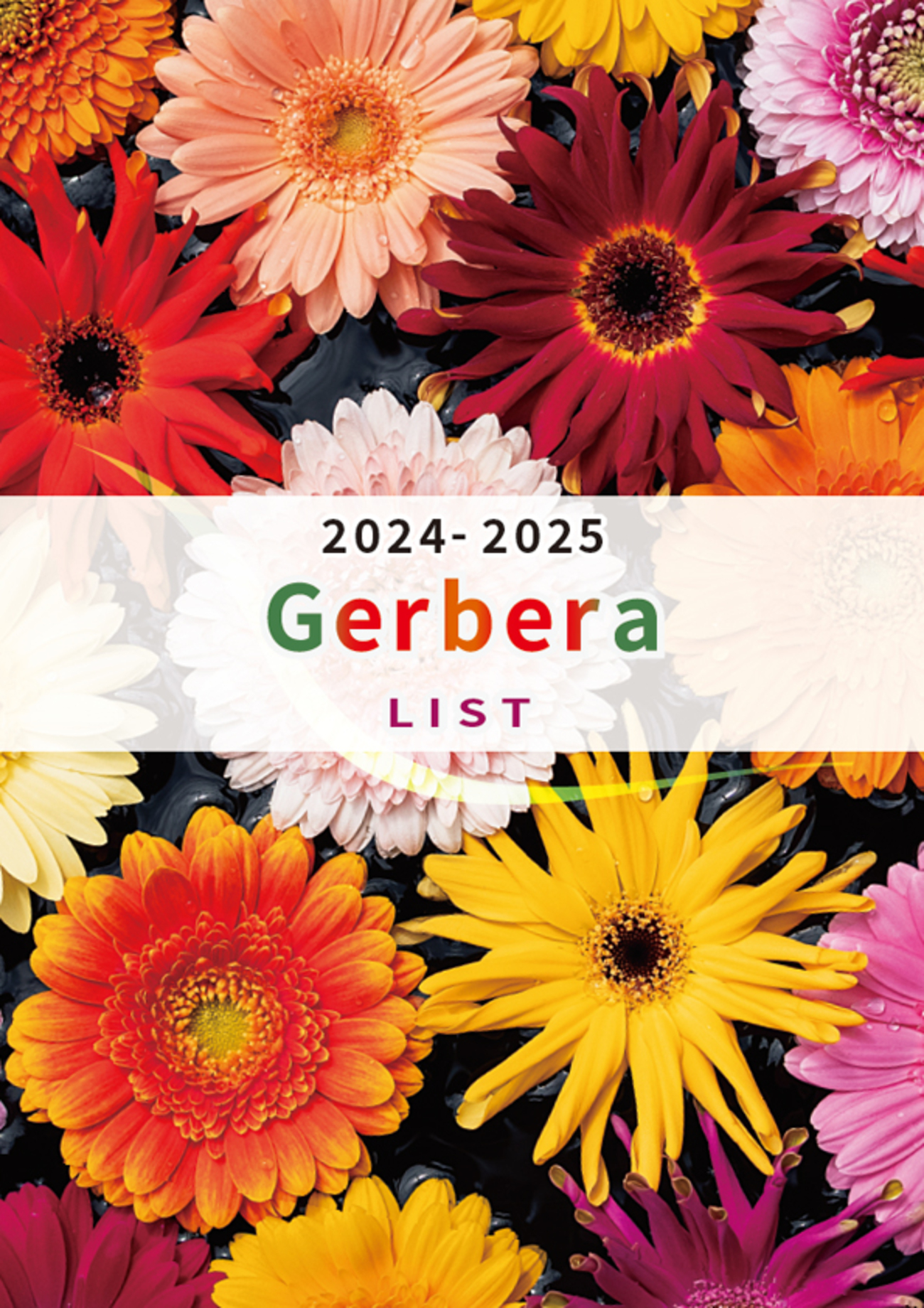 backend=imagemagick;version=1;