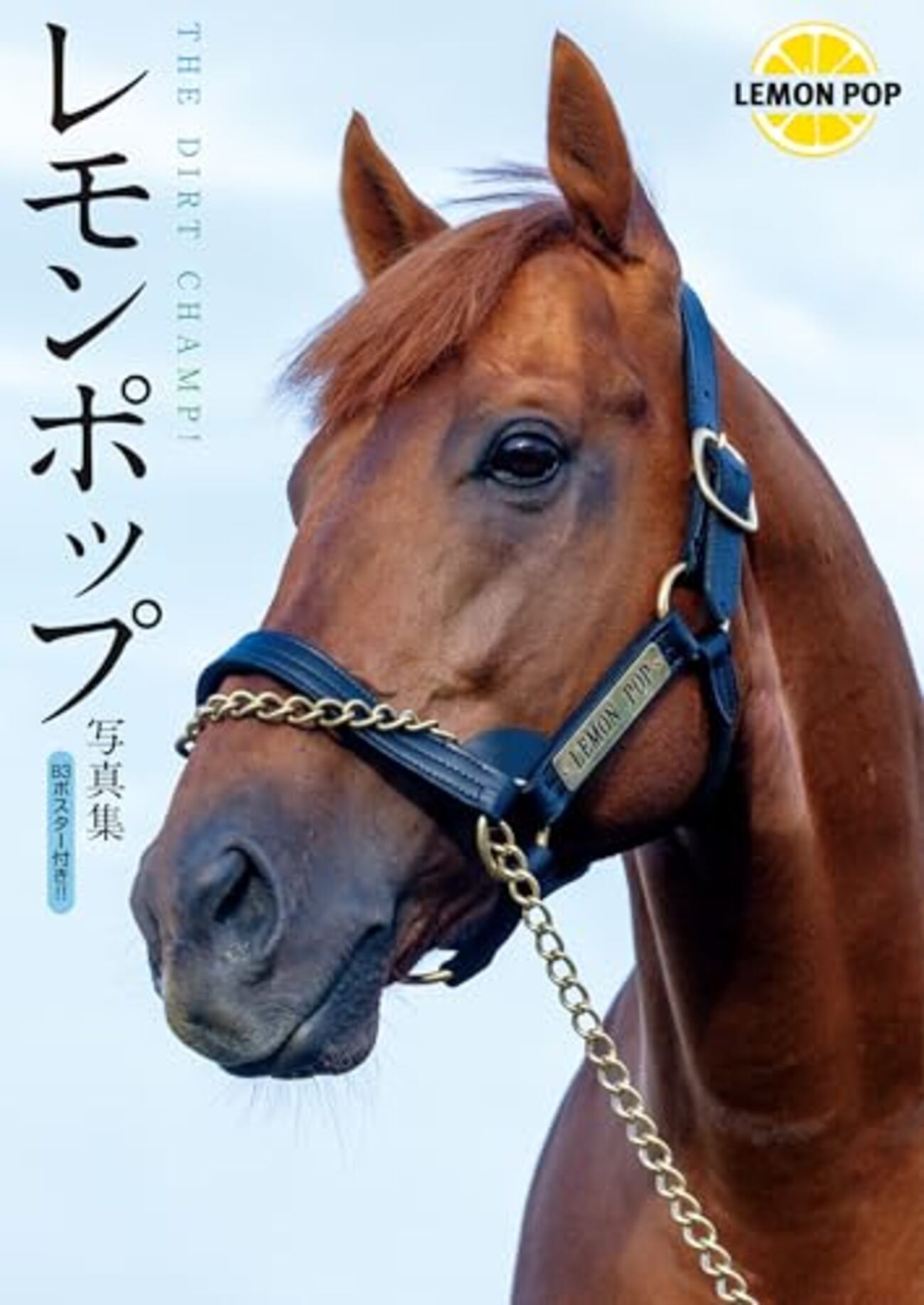 チャンピオンズカップ2025サイン ロイヤルファミリー狙い撃ちが有効