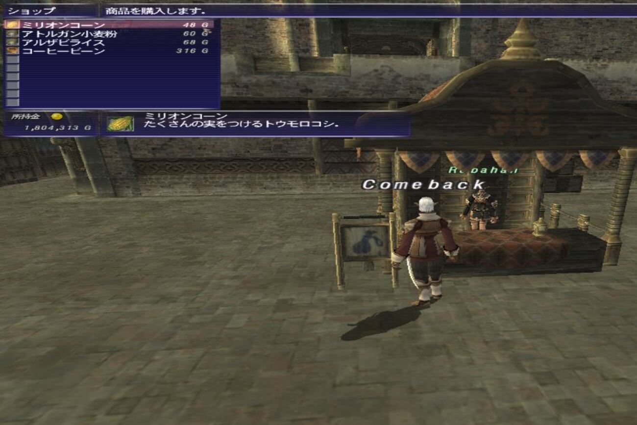 FF11 おすすめ名声上げ総合 その１( バストゥーク、サンドリア、ウインダス、セルビナ、マウラ、ジュノ、カザム、ラバオ) - Return to  the FF11 ！！