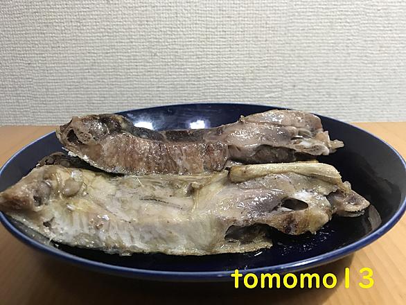 マグロとは 一般の人気 最新記事を集めました はてな マグロとは 一般の人気 最新記事を集めました はてな