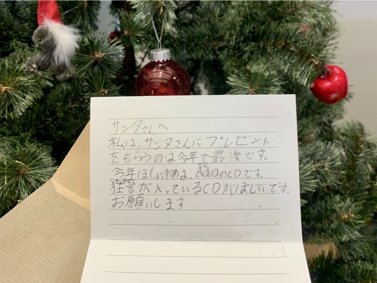 サンタさんは10歳まで。それ以降はサンタさんにお断りしています
