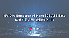 NVIDIA Nemotron 3 Nano 30B A3B Base に対する汎用・金融特化SFT