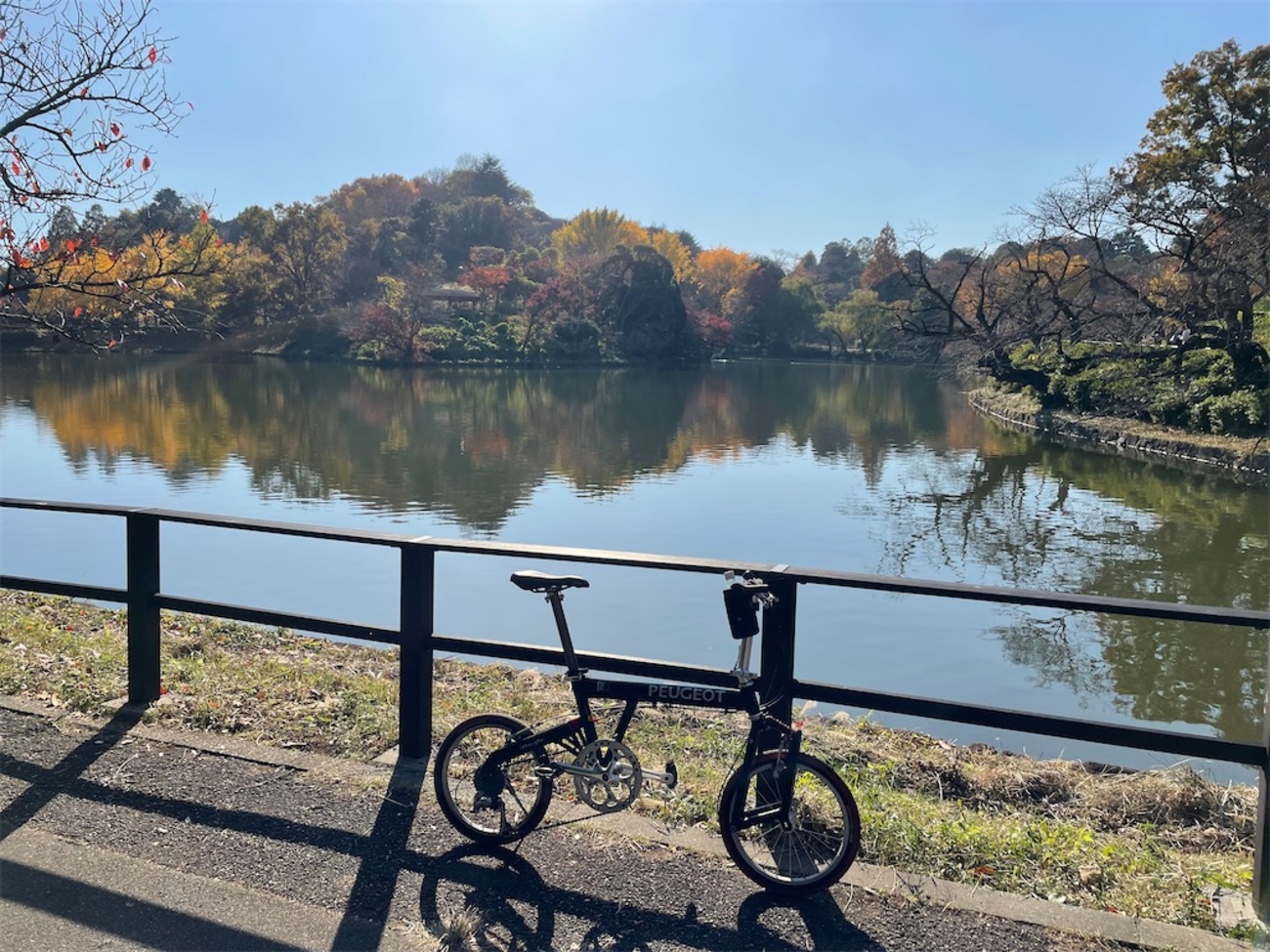 晩秋の鶴見川を。人道橋と三ツ池公園 - 折りたたみ自転車で鉄道旅 