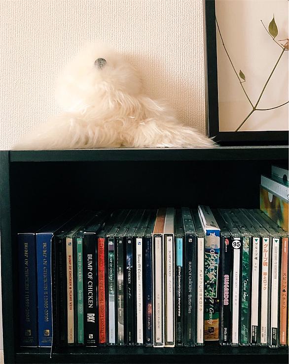 とっておきの唄とは 音楽の人気 最新記事を集めました はてな とっておきの唄とは 音楽の人気 最新記事を集めました はてな