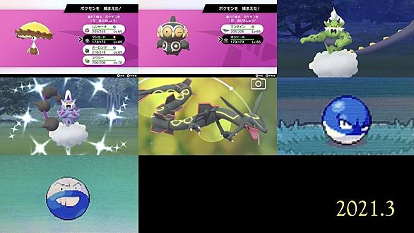 ヤヤコマとは ゲームの人気 最新記事を集めました はてな ヤヤコマとは ゲームの人気 最新記事を集めました はてな