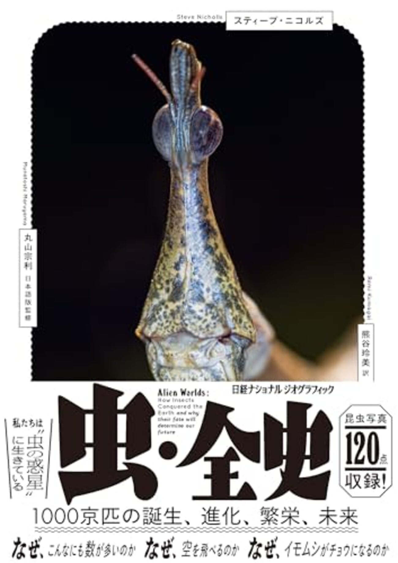 ハリフマンの昆虫ウオッチング 社会性昆虫記 1＋2 上下巻セット ハリフマンの昆虫ウオッチング 社会性昆虫記 1＋2 上下巻セット