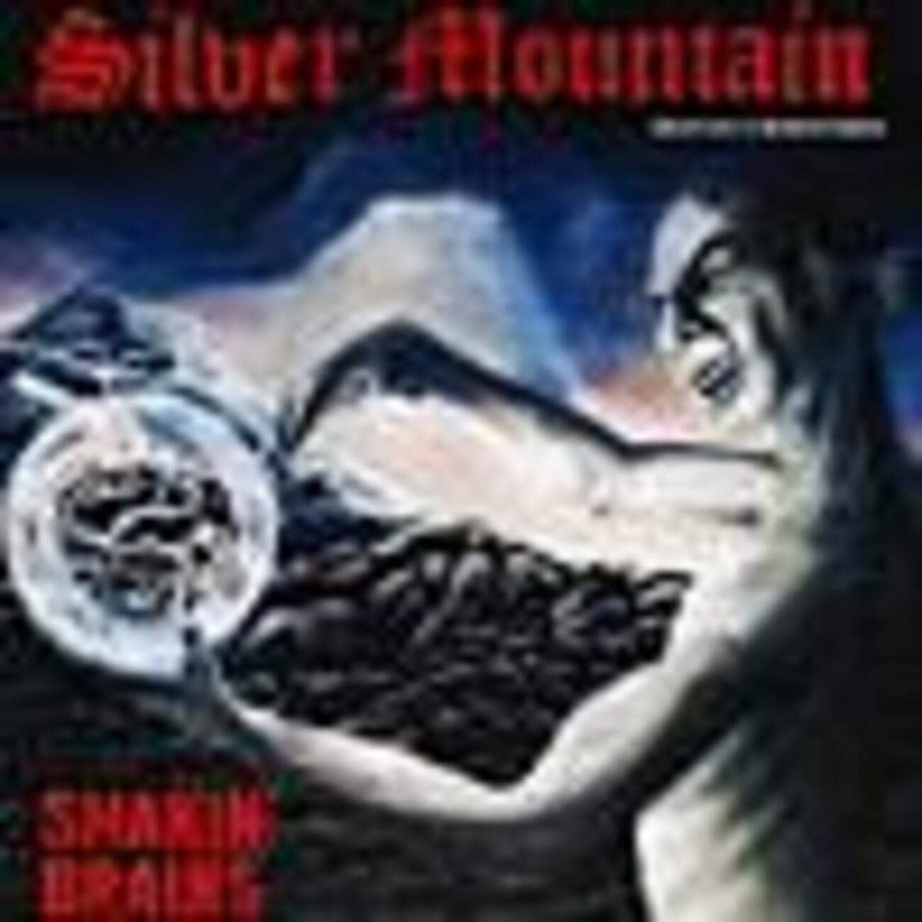 楽曲紹介】シルヴァー・マウンテン（SILVER MOUNTAIN）「Vikings 