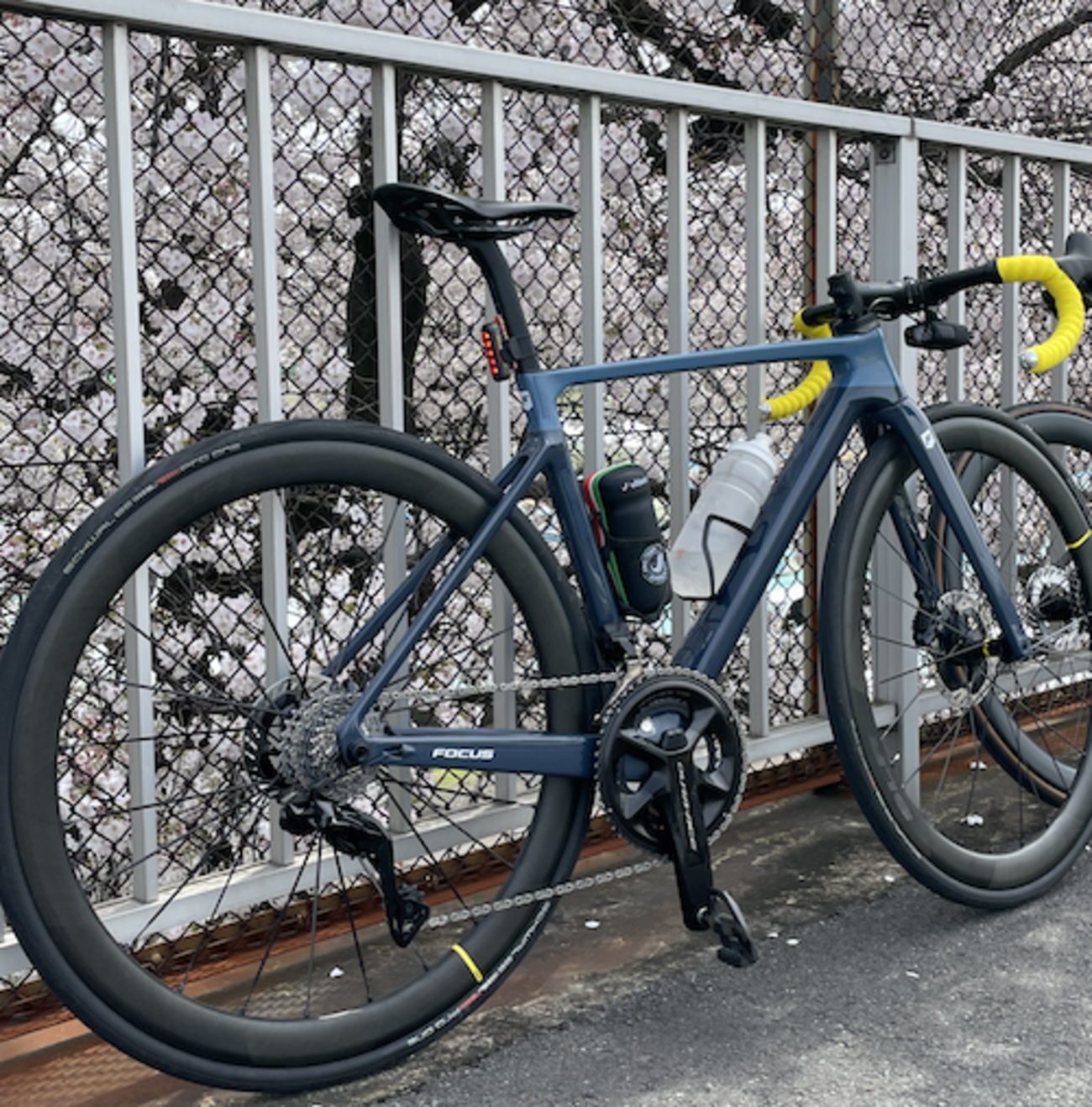 フレームセットステムBB付属FOCUS izalco max 9 (2024年) 新車：Izalco  