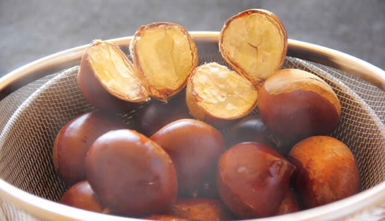 29日（金曜）夕方、テレビ番組で… - 焼き栗専家「栗家一番」