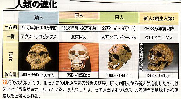 クロマニヨン人とは サイエンスの人気 最新記事を集めました はてな クロマニヨン人とは サイエンスの人気 最新記事を集めました はてな
