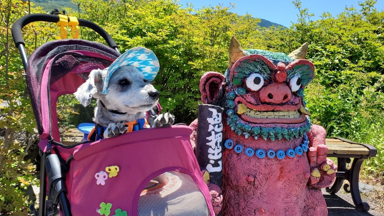 ❝鬼押出し園（魔除け鬼と友達 編）❞ 愛犬とおでかけ-群馬県