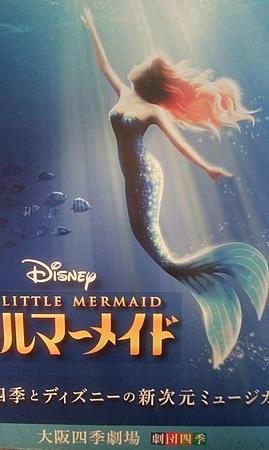 リトルマーメイドとは アイドルの人気 最新記事を集めました はてな リトルマーメイドとは アイドルの人気 最新記事を集めました はてな