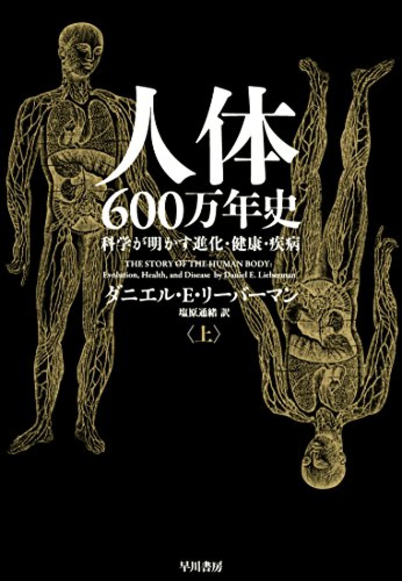 災害の人類学 : カタストロフィと文化 カタストロフィと人文学 | 西山 雄二 |本 | 通販 | Amazon