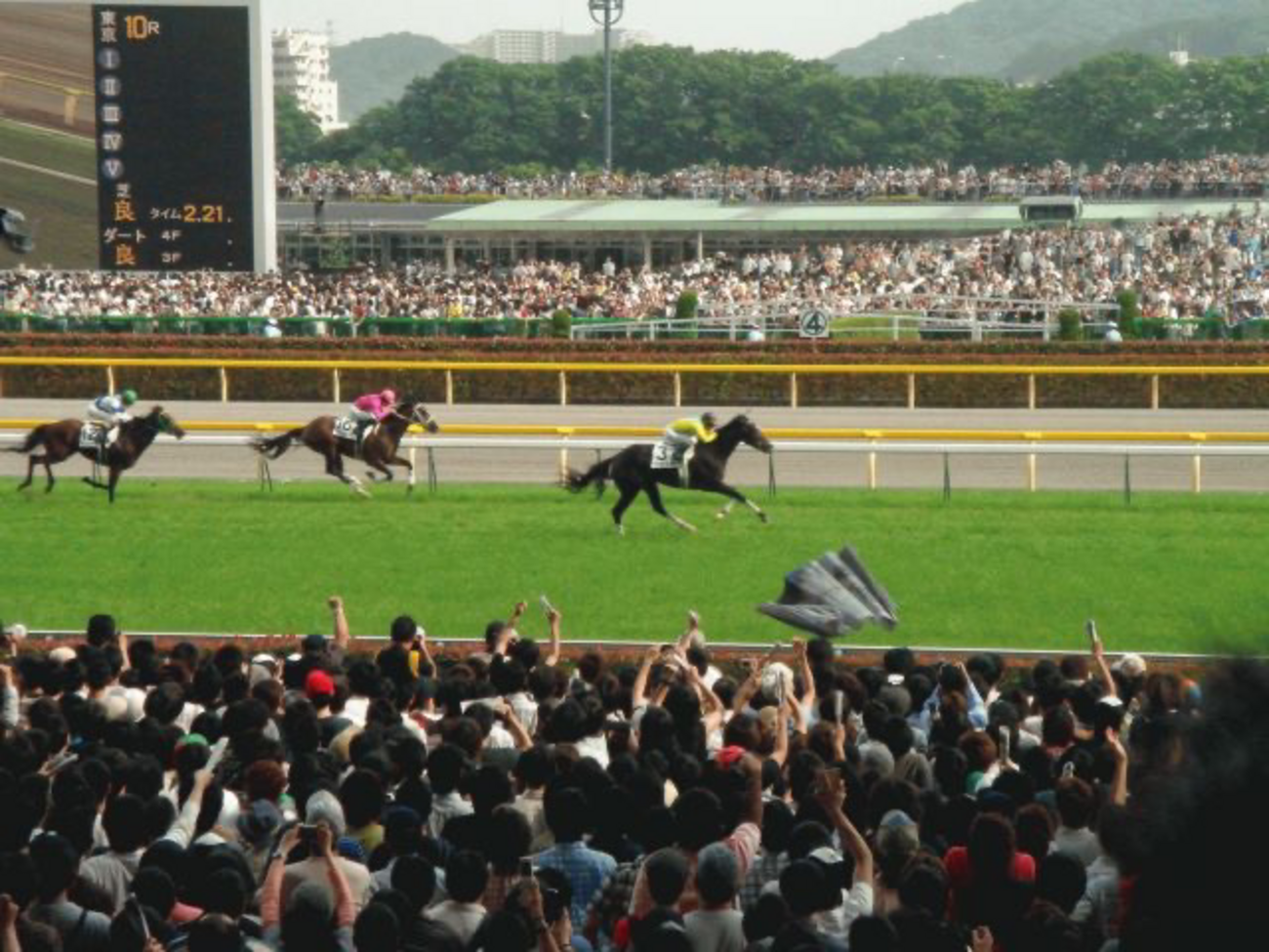 ☆ウマ娘馬券☆ジャングルポケット第21回ジャパンカップ現地的中単勝