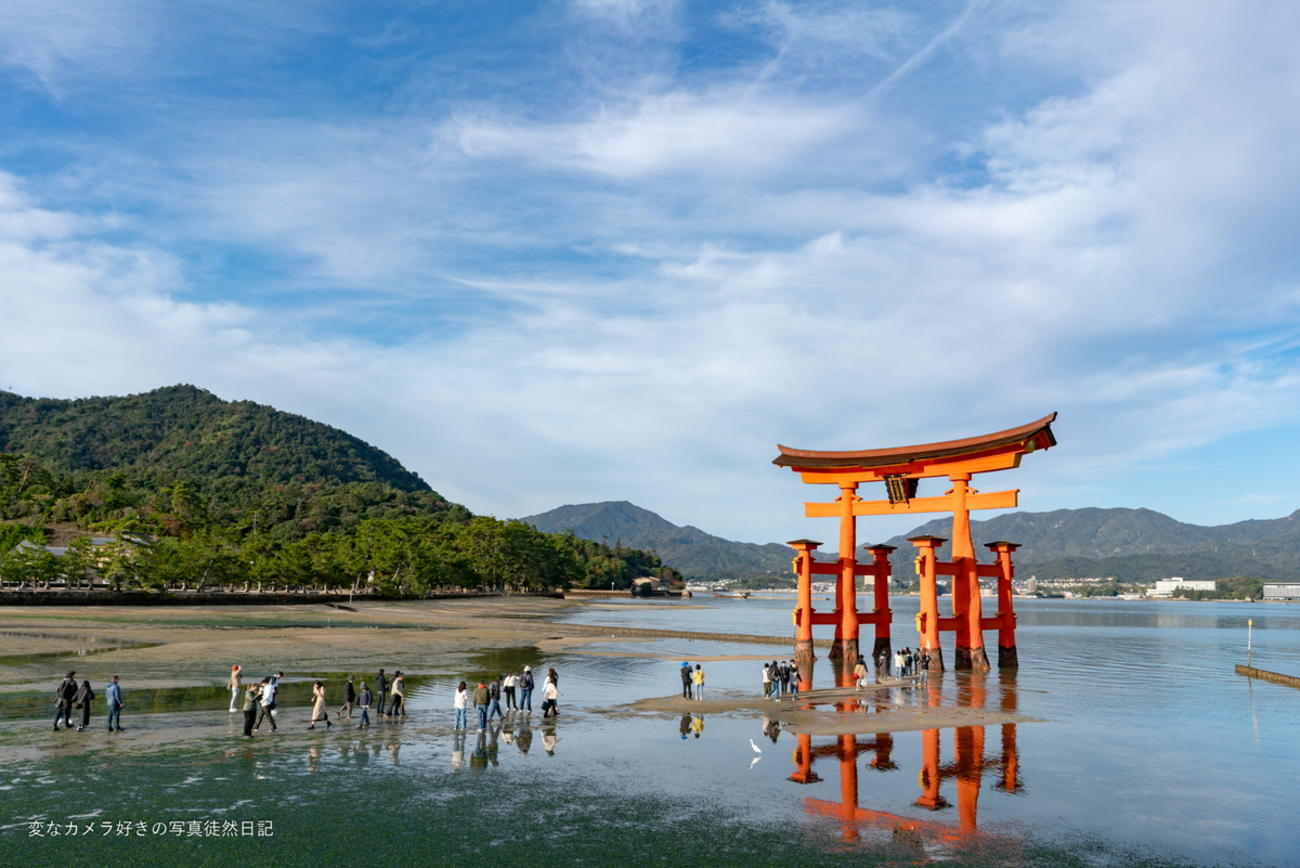 2024/11/24 厳島神社・宮島水族館を訪れる。 - 変なカメラ好きの写真