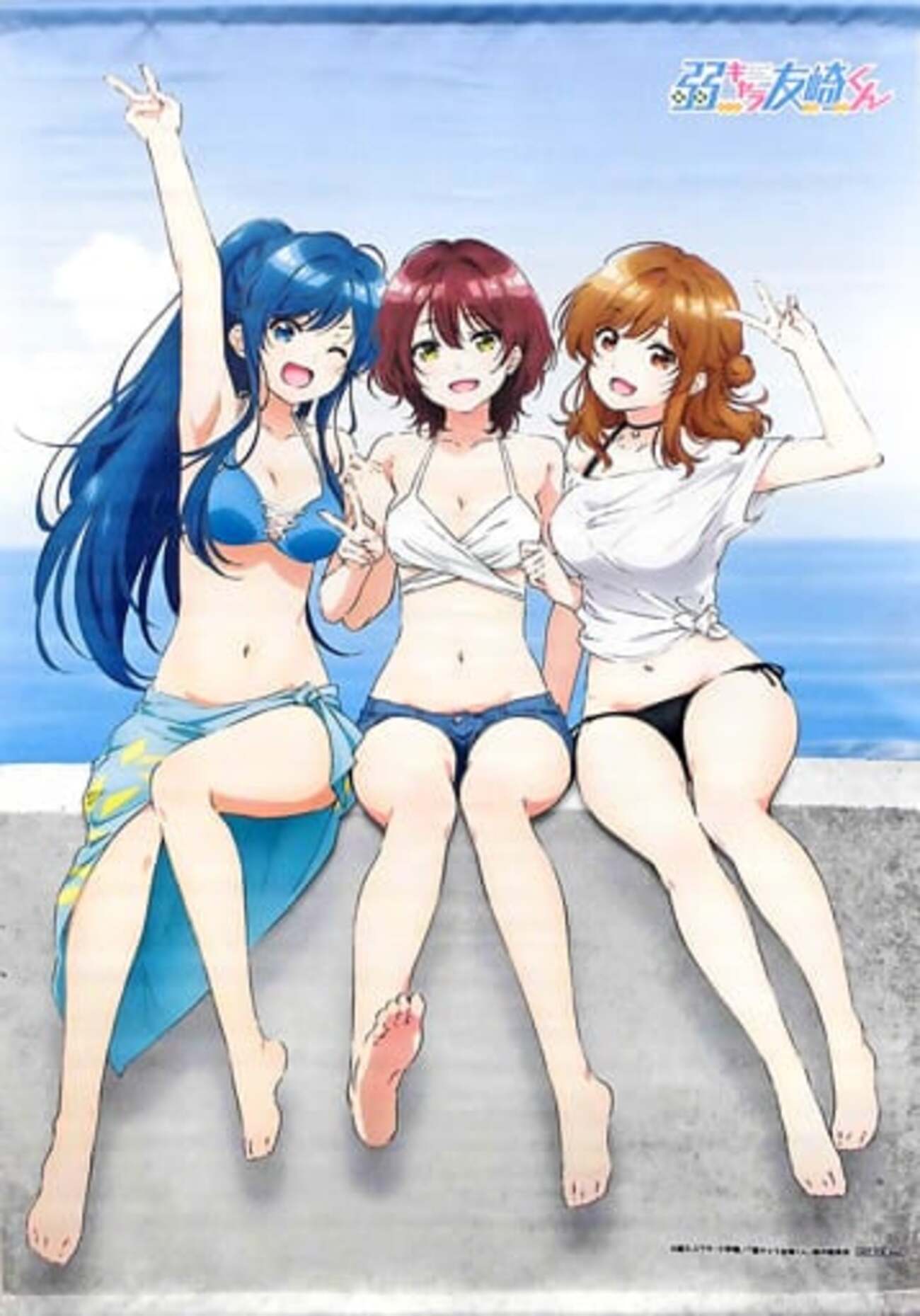 今日南葵＆七海みなみ＆泉優鈴 B2タペストリー 「Blu-ray/DVD 弱キャラ