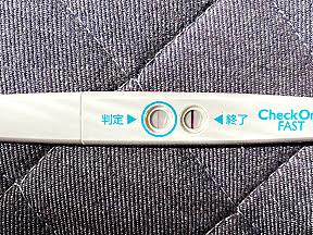 妊娠検査薬とは サイエンスの人気 最新記事を集めました はてな