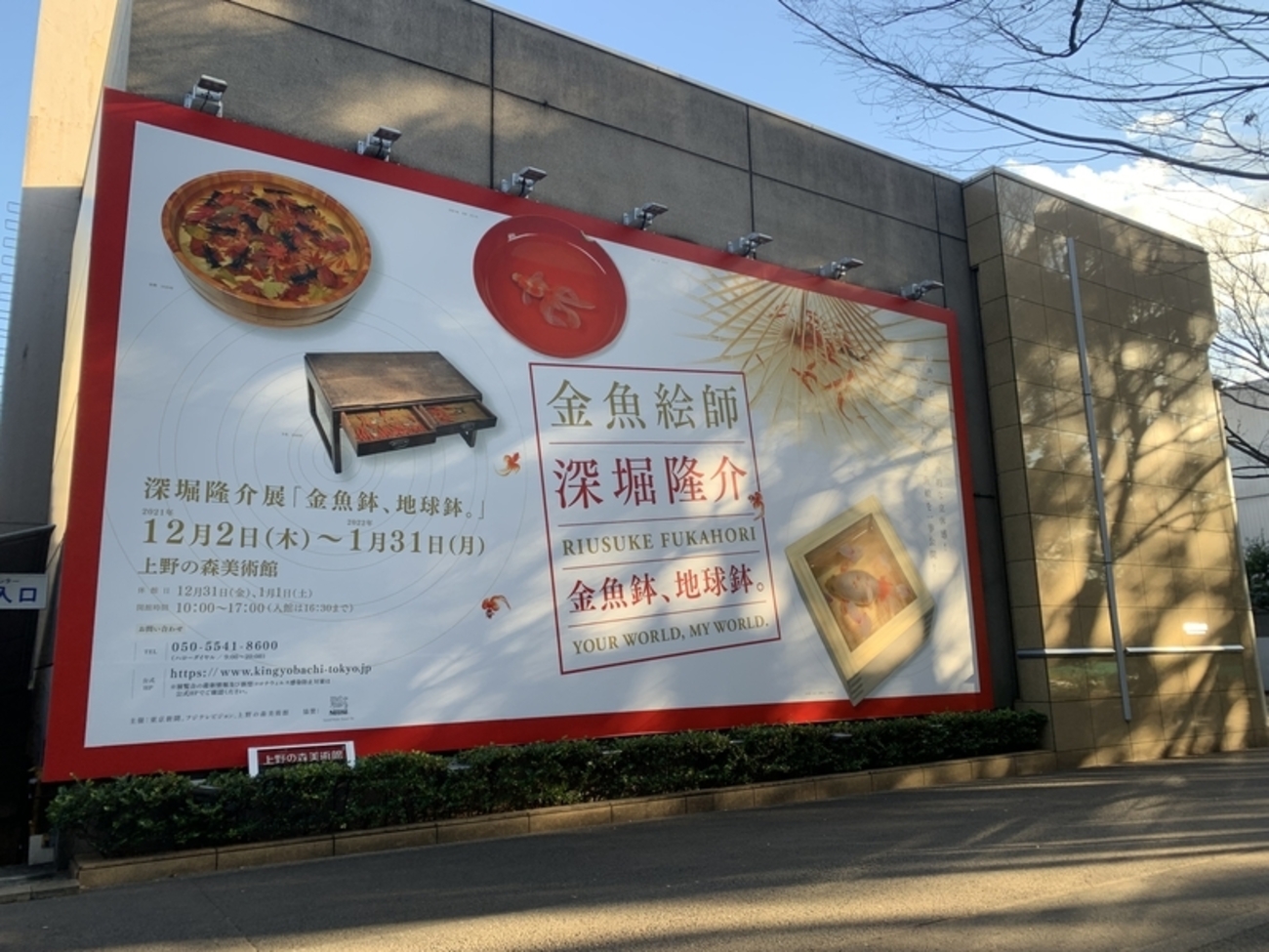 サトシック目線で鑑賞する深堀隆介展『金魚鉢、地球鉢。』おみくじと 