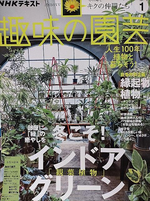 趣味の園芸とは テレビの人気 最新記事を集めました はてな 趣味の園芸とは テレビの人気 最新記事を集めました はてな