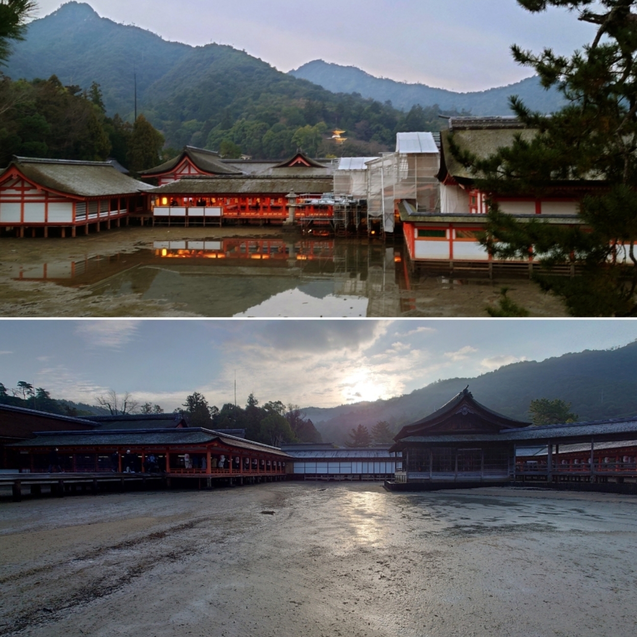 backend=imagemagick;version=1;