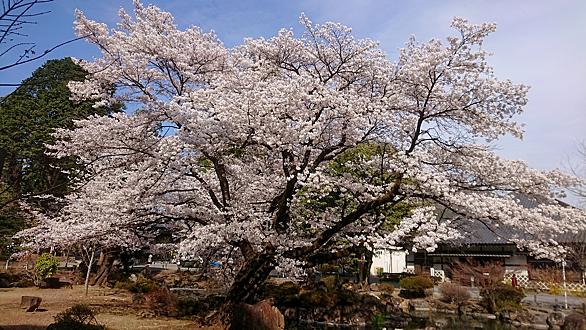 恵林寺とは 一般の人気 最新記事を集めました はてな 恵林寺とは 一般の人気 最新記事を集めました はてな