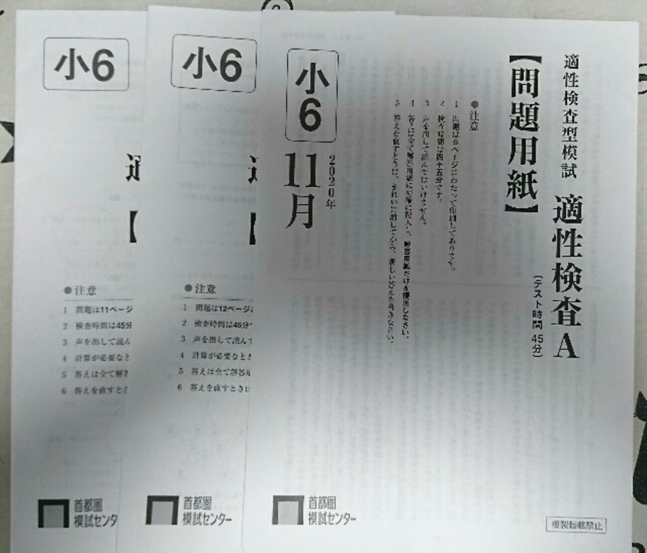 首都模試・適性タイプについて - 凸凹兄妹の母のブログ