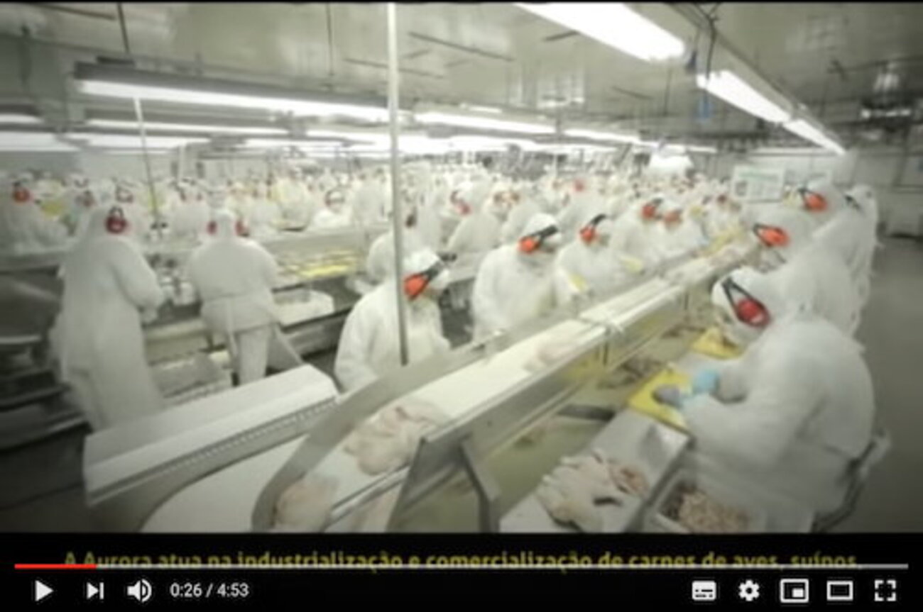【新型コロナウイルス】 中国、ブラジル産の冷凍鶏肉の検査で陽性  - pelicanmemo