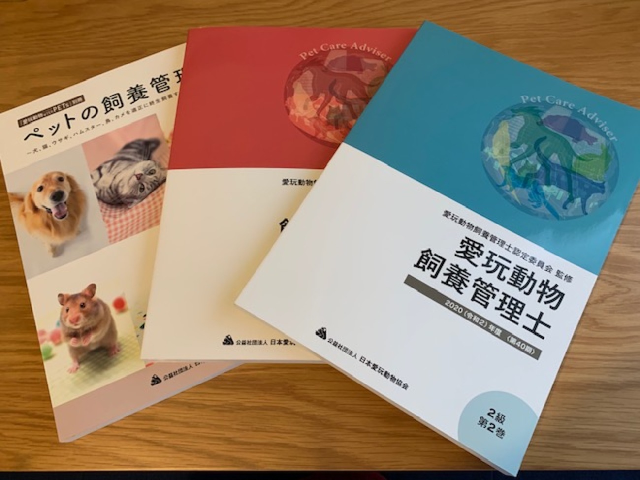 backend=imagemagick;version=1;