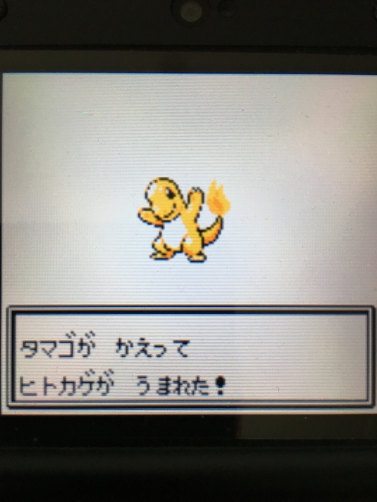 ポケットモンスター ポケモン 緑 ピカチュウ クリスタル 説明書 マップ 