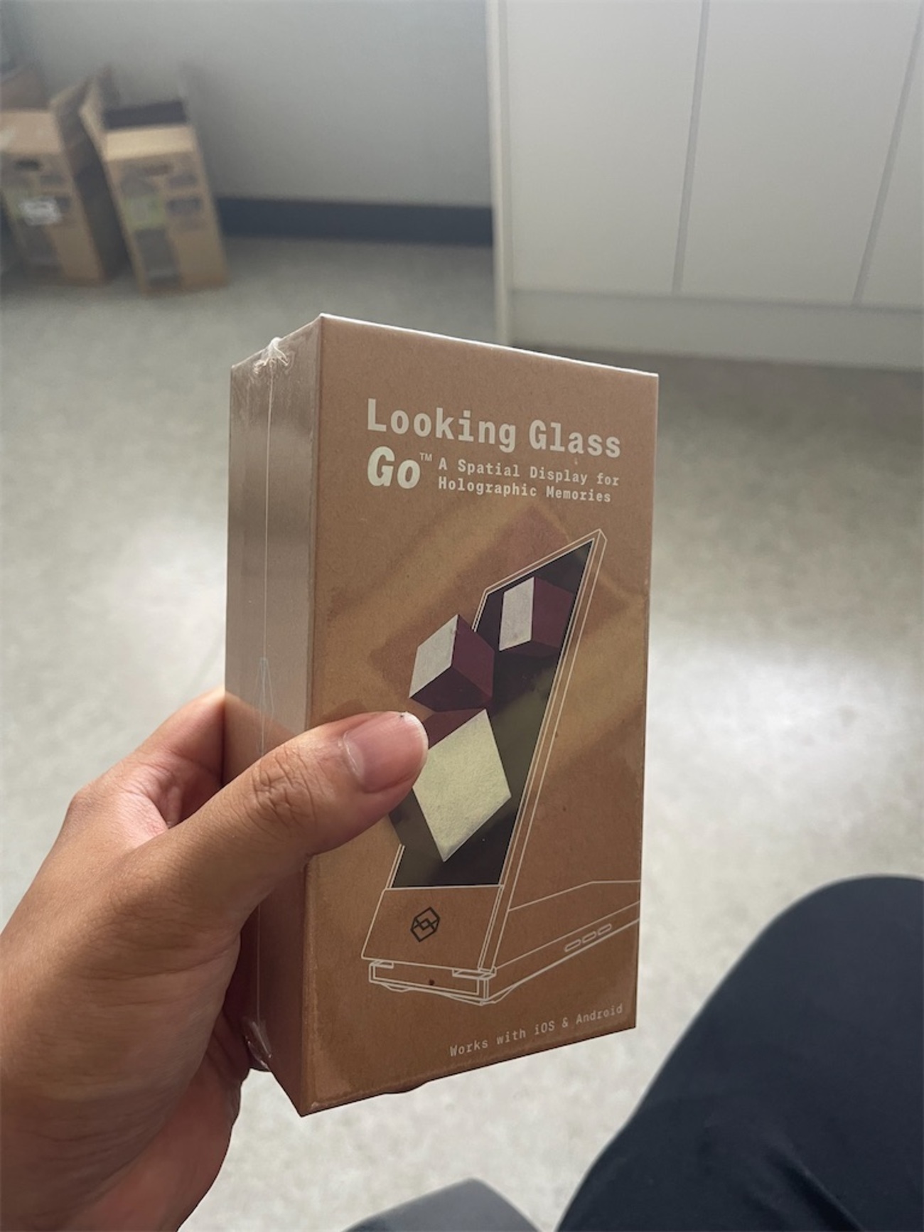 LookingGlass go 開封の儀 - 夜風のMixedReality