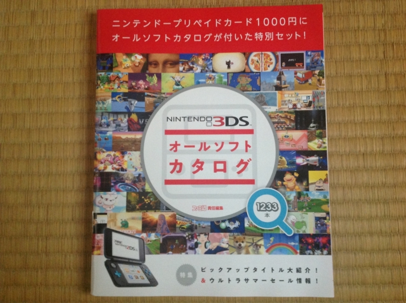 3DSオールソフトカタログ付きニンテンドープリペイドカード1000円と 