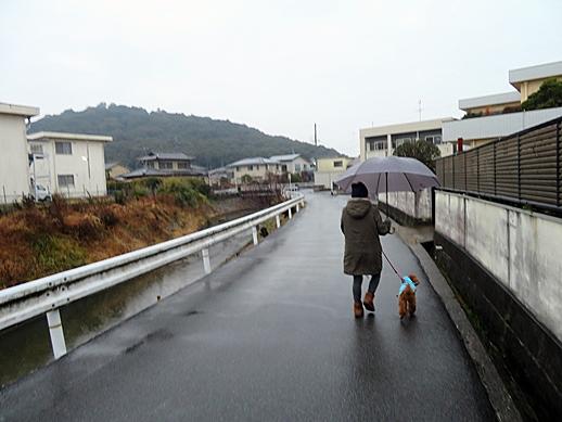 氷雨とは 音楽の人気 最新記事を集めました はてな