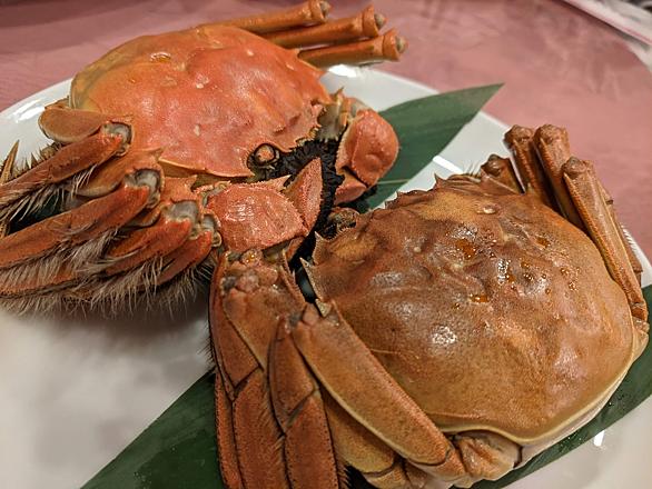 上海蟹とは 食の人気 最新記事を集めました はてな 上海蟹とは 食の人気 最新記事を集めました はてな