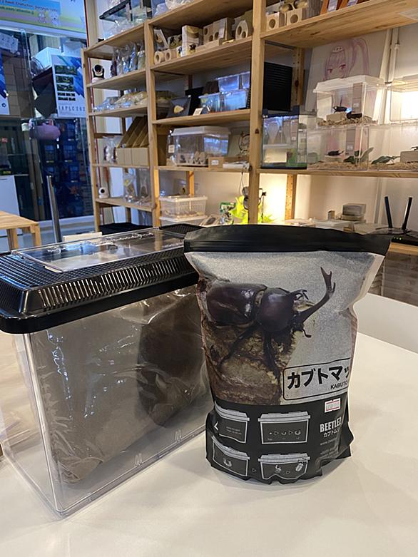 カブトムシ 幼虫 飼育とは 人気 最新記事を集めました はてな