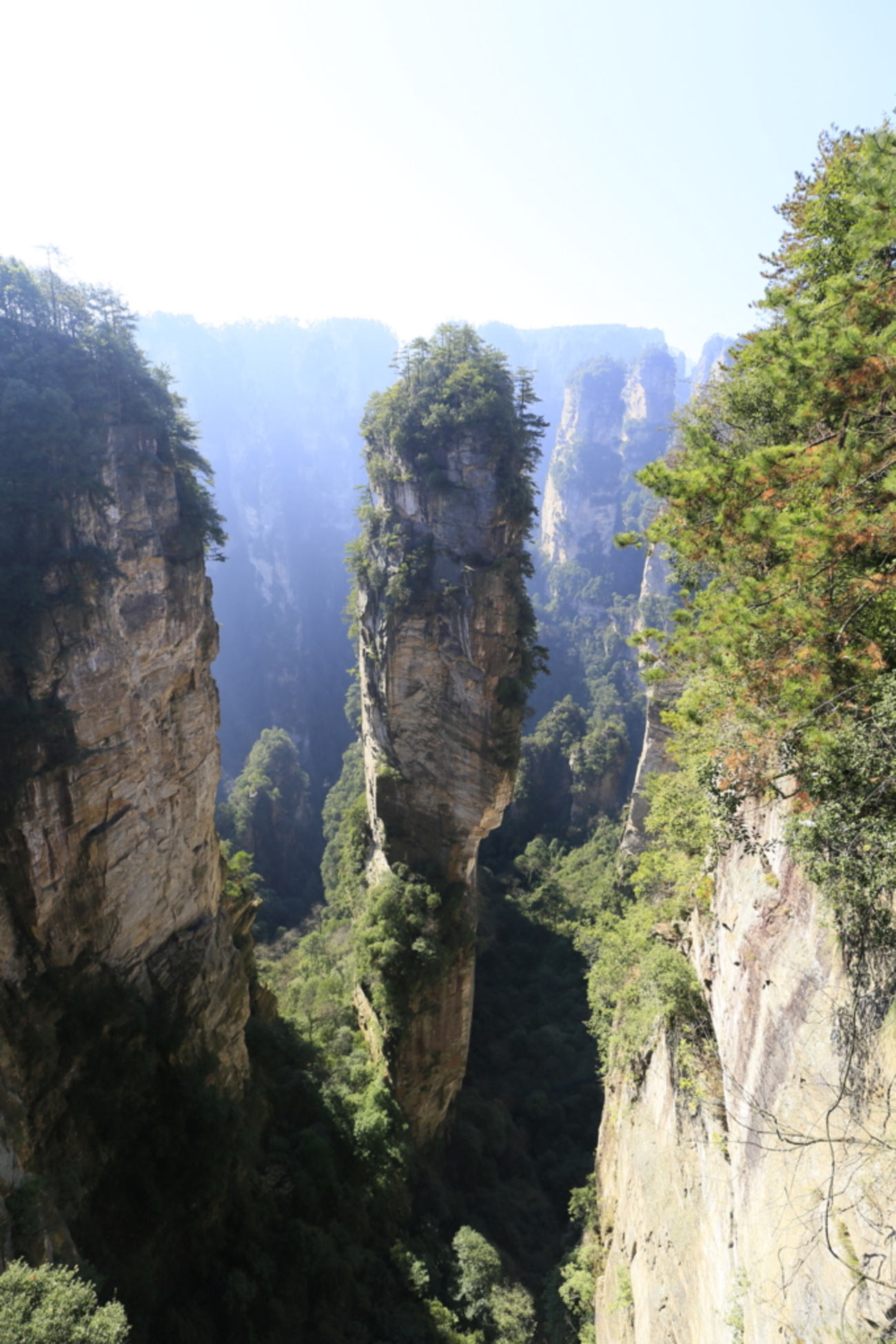 絵画・「世界遺産・武陵源」真作 魅力張家界】中国絶景、世界遺産「張家界・武陵源」を巡るプライベート