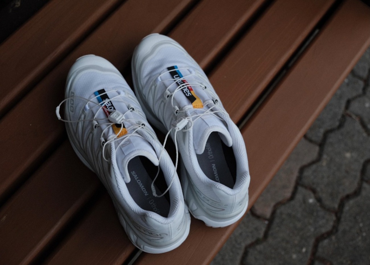 フランスの白靴】「Salomon Advanced（サロモンアドバンスド） XT-6 