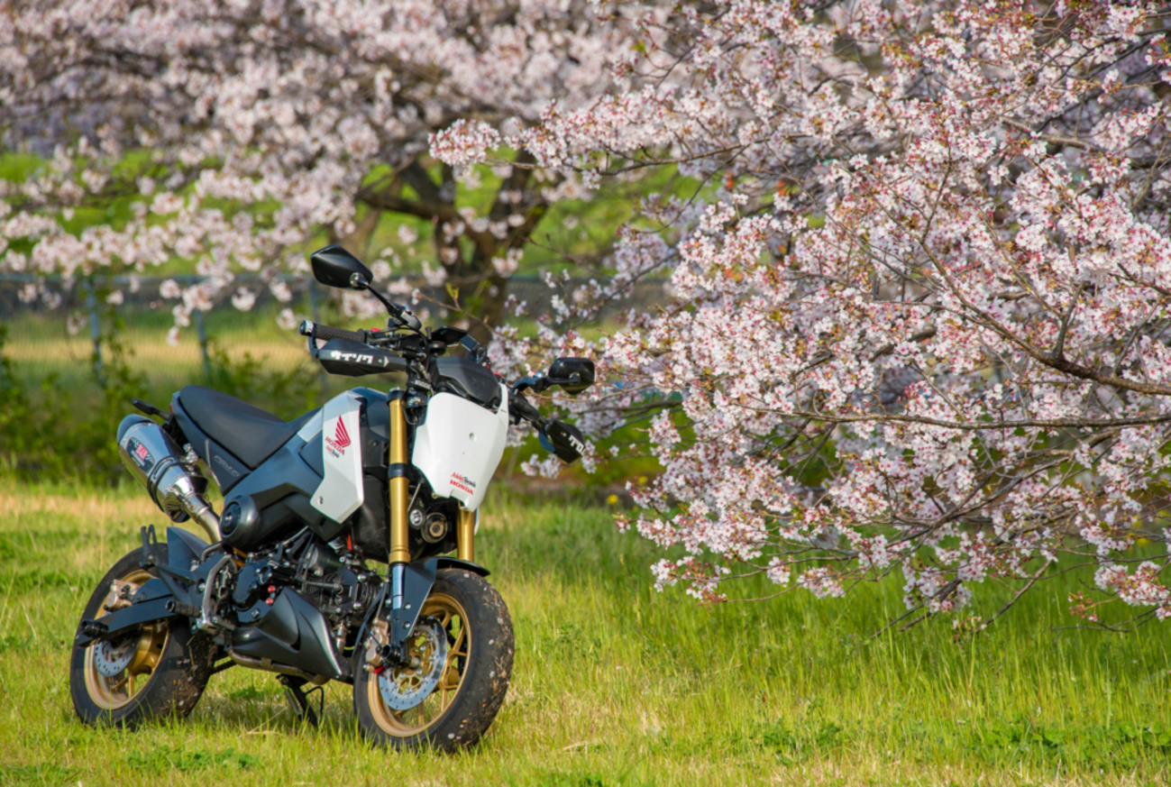 グロム　ゼッケンプレート　エンデュランス レース専用】GROM グロム フロントナンバープレート