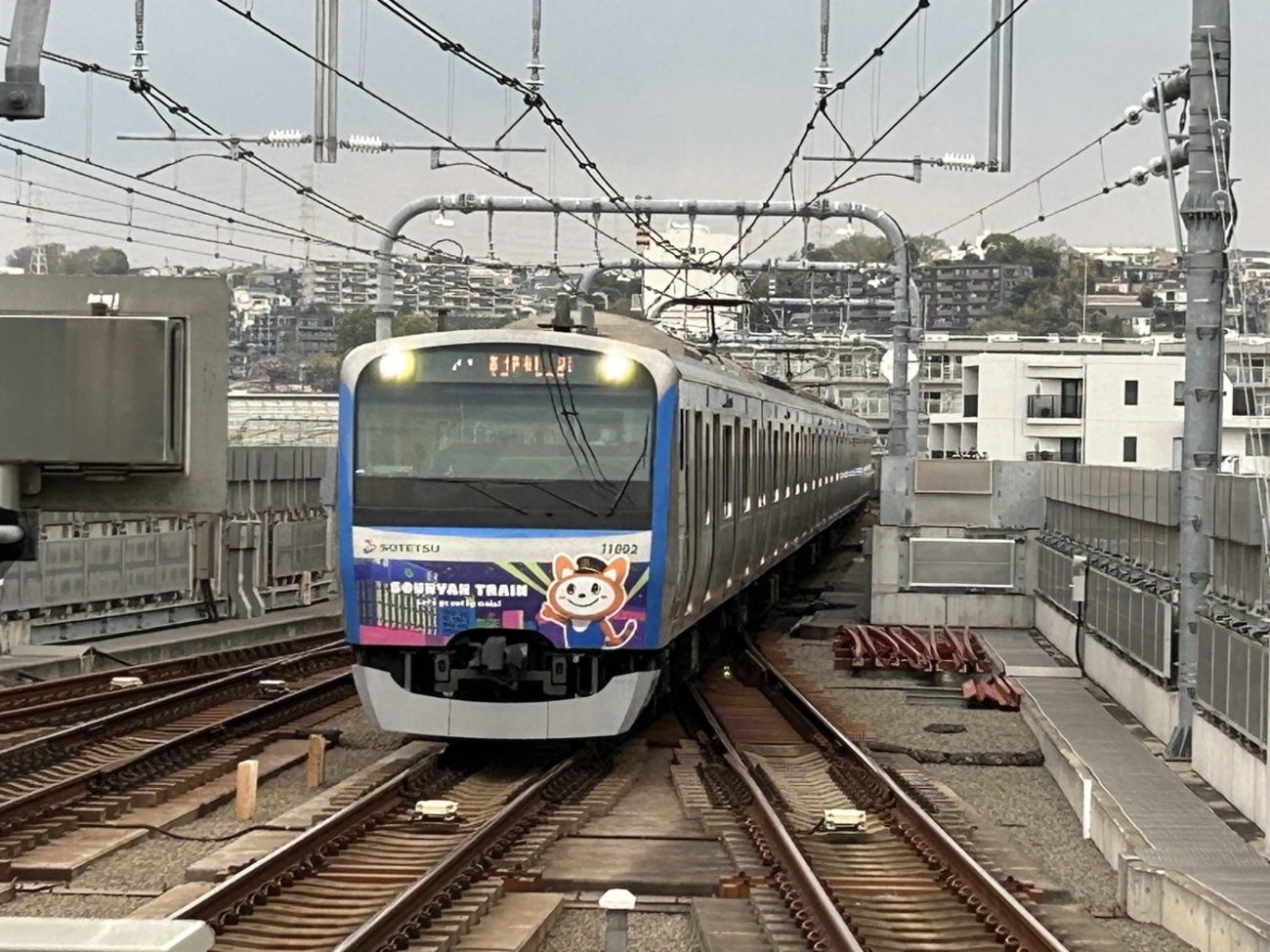 鉄道】相鉄11000系11002F「12代目そうにゃんトレイン」が運転開始 