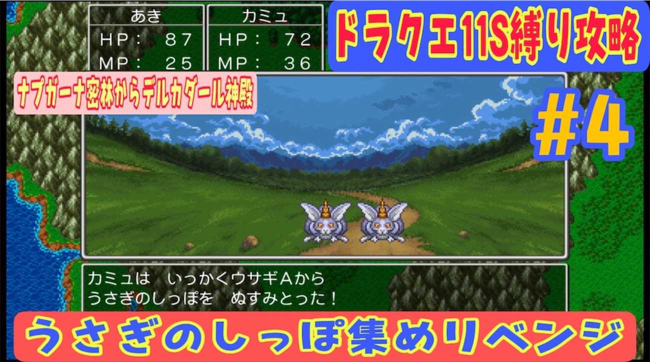 【ドラクエ11S２D・縛り攻略4】うさぎのしっぽ集めカミュとリベンジしたら．．． - あきののんびりゲームブログ