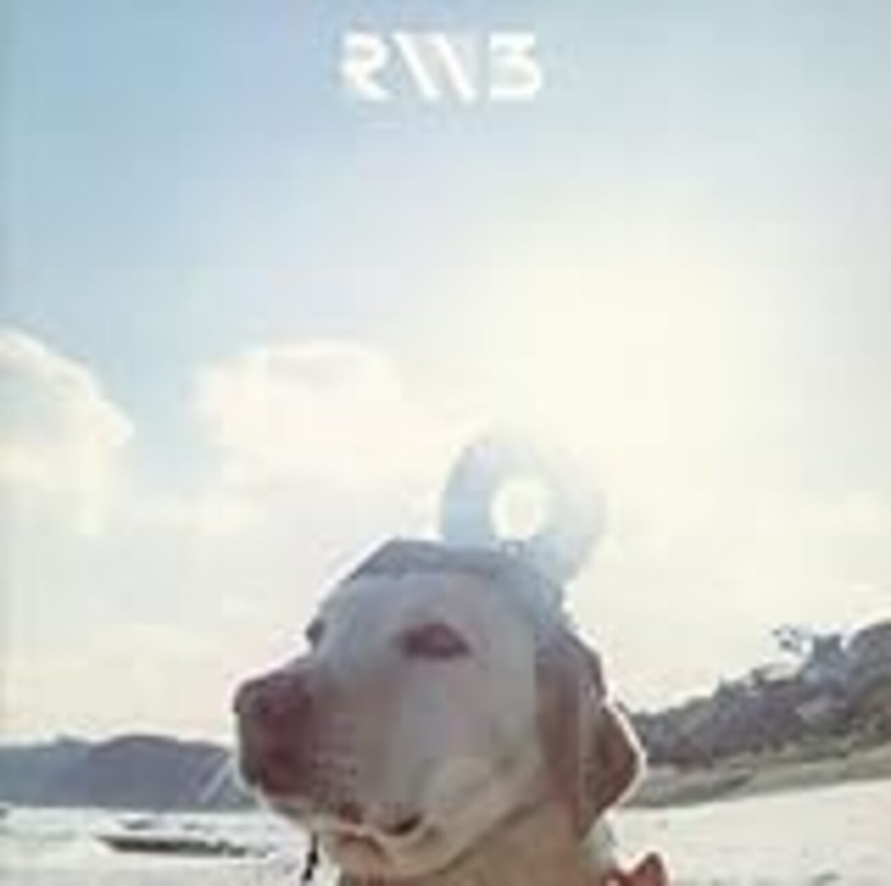 RADWIMPSの曲を昔から振り返ってみる③3rdアルバム『RADWIMPS3〜無人島