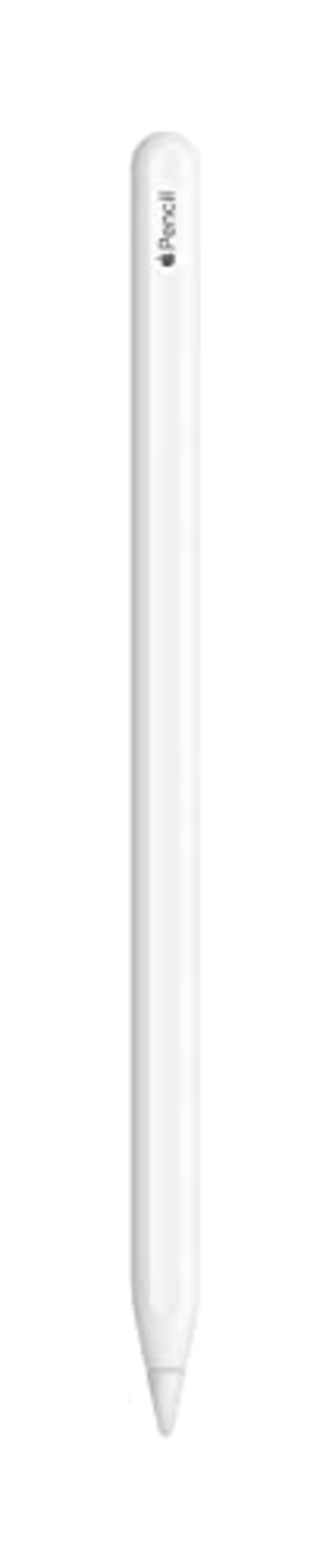 iPad mini7で互換ApplePencilを使ってみた - 海風研究所